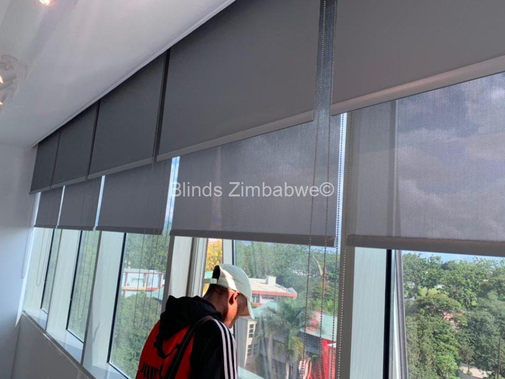 Double Roller Blinds (Block-out + Sunscreen)