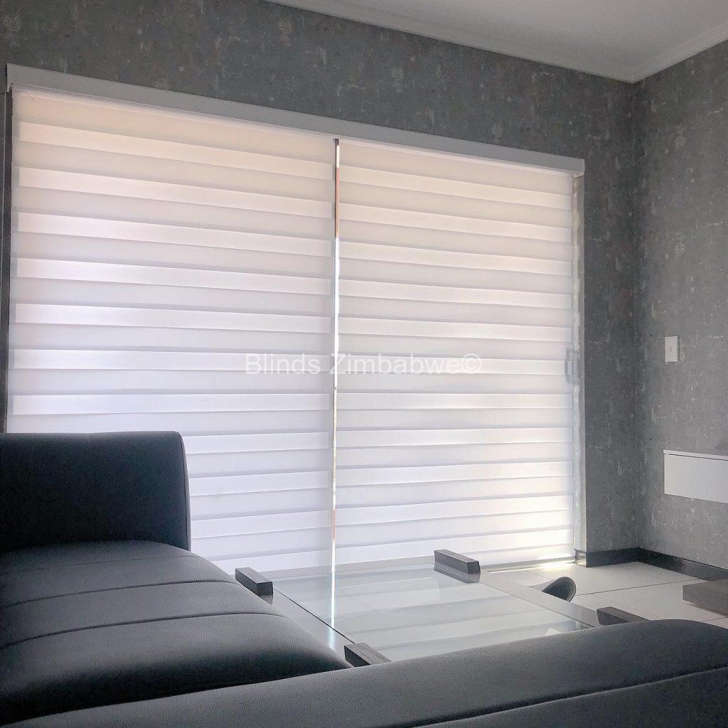 Zebra Blinds