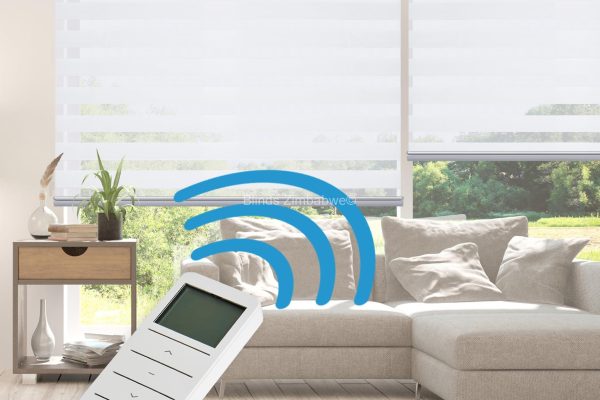 Motorised Blinds Info